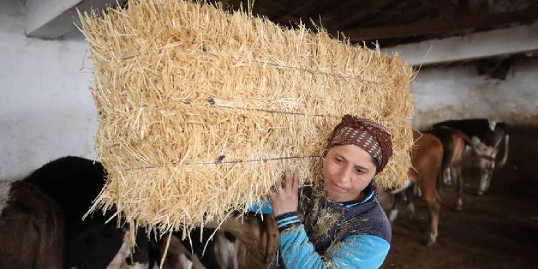 Devlet desteğiyle sürü sahibi oldu! Eşinin köyünden gelen bereket: 35 yaşında hayvan sayısını katladı 2